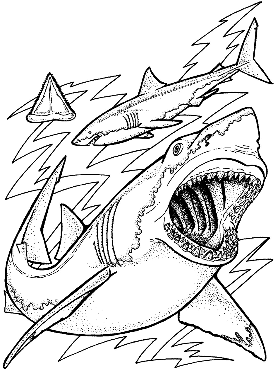 Coloring Page Ocean 16