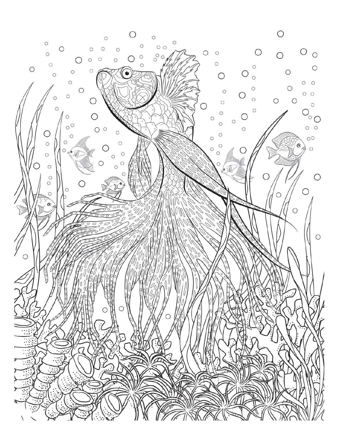 Coloring Page Ocean 19