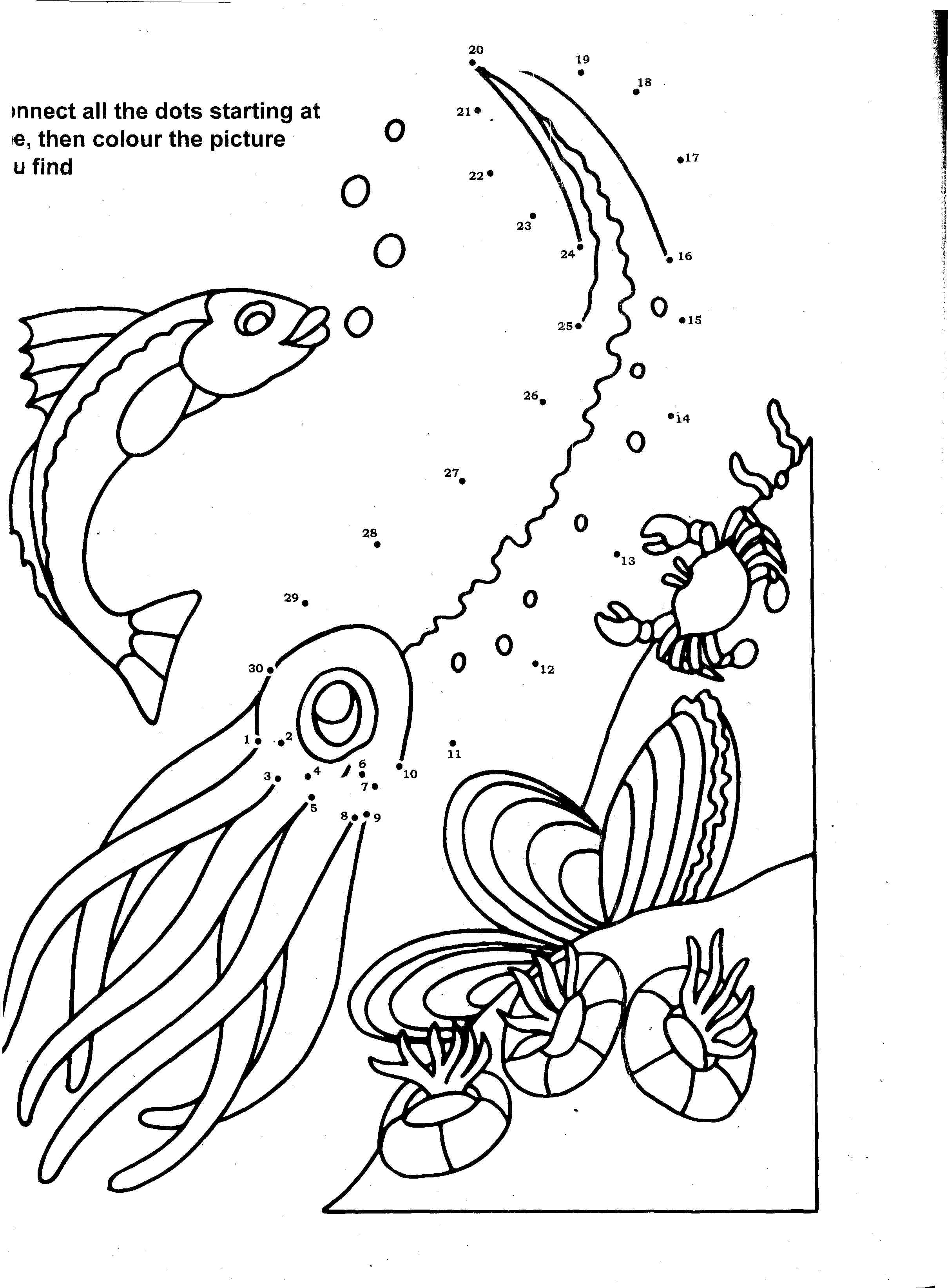 Coloring Page Ocean 26