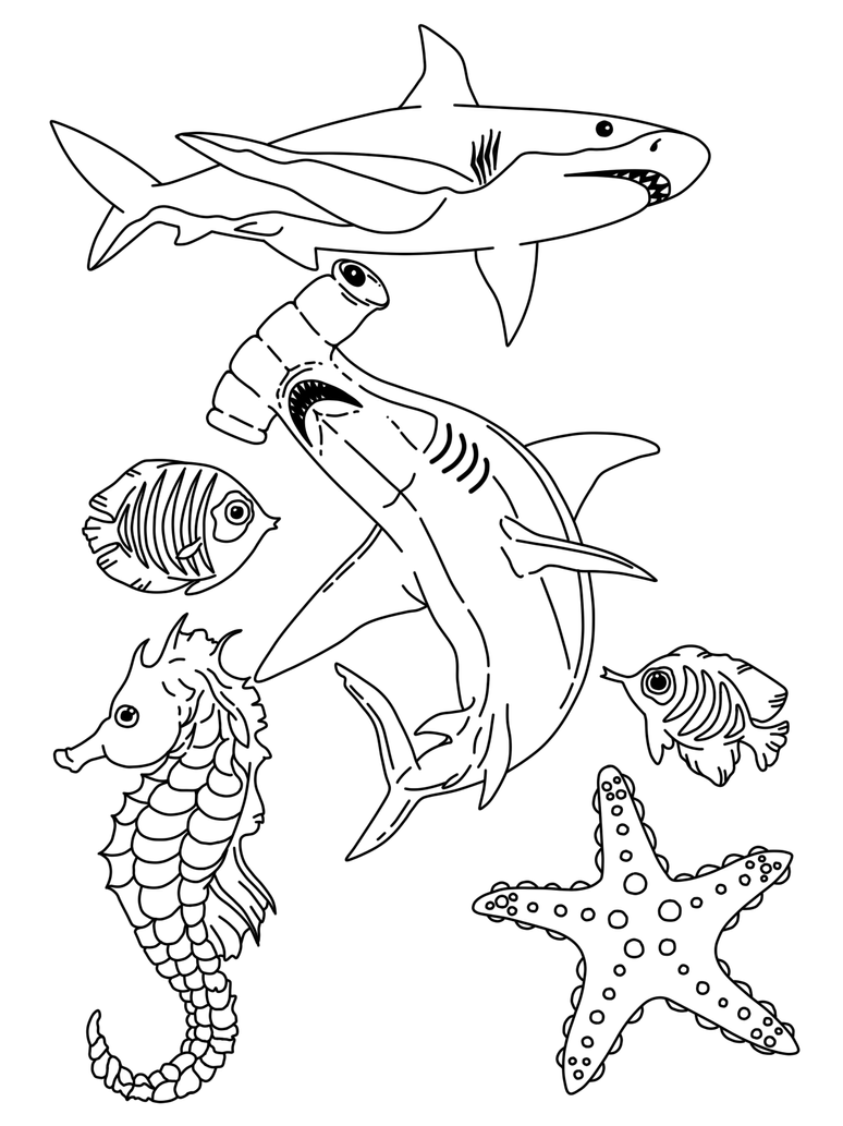 Coloring Page Ocean 28