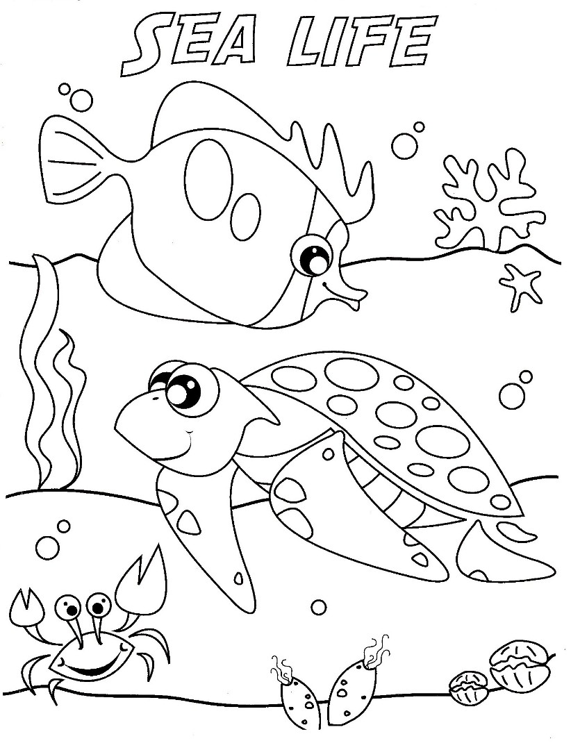 Coloring Page Ocean 38