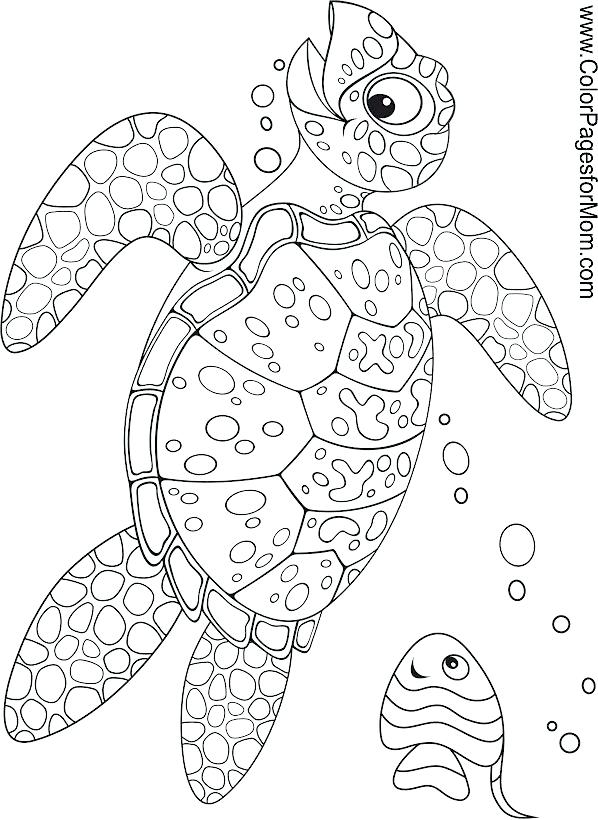 Coloring Page Ocean 40