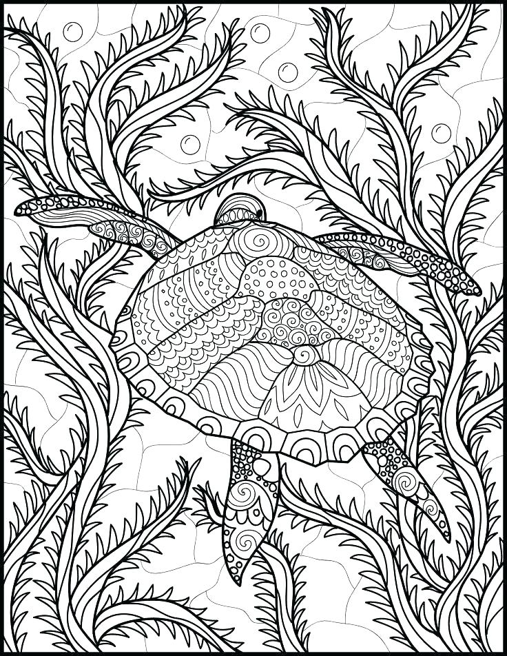 Coloring Page Ocean 42