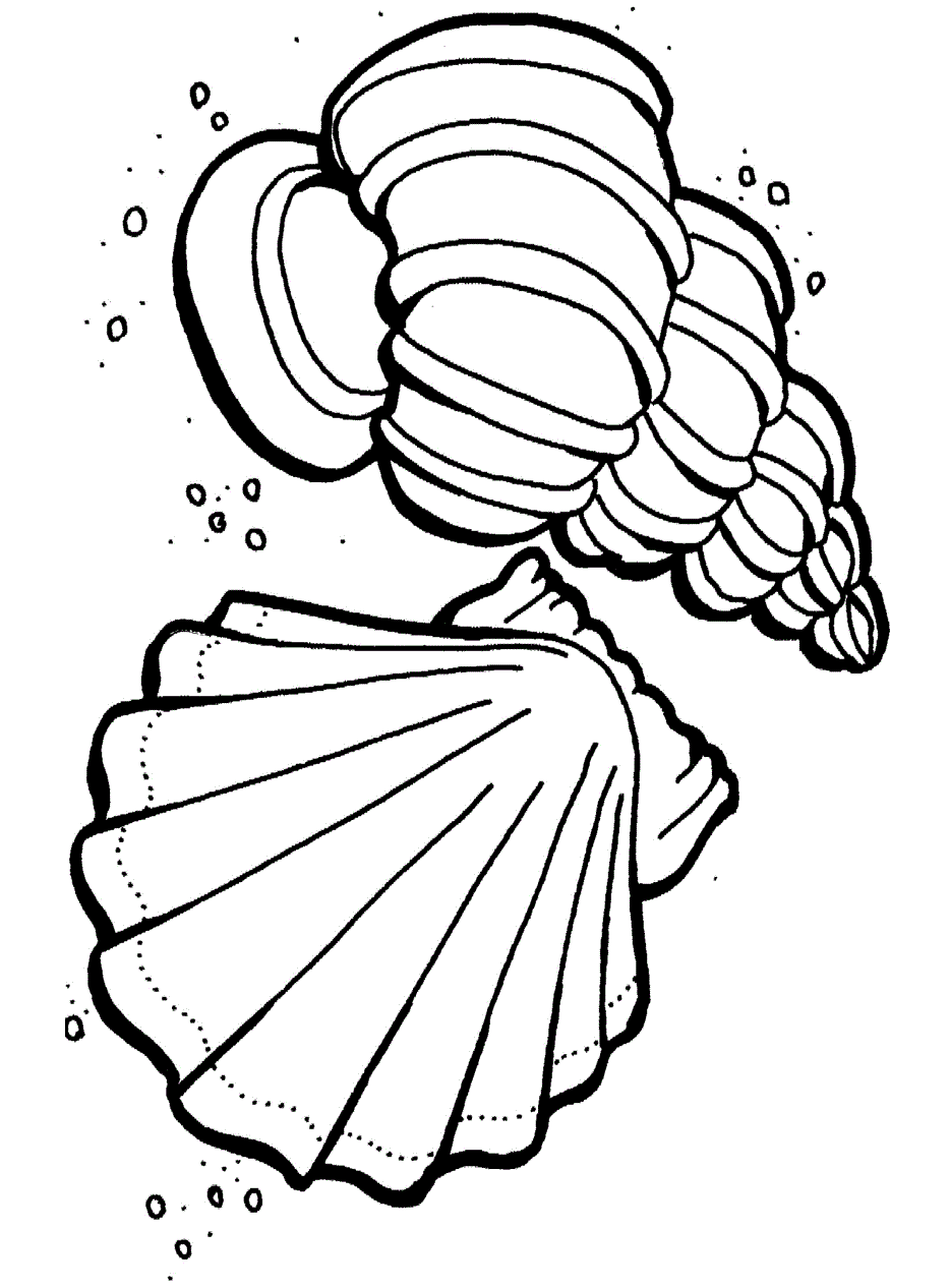 Coloring Page Ocean 55