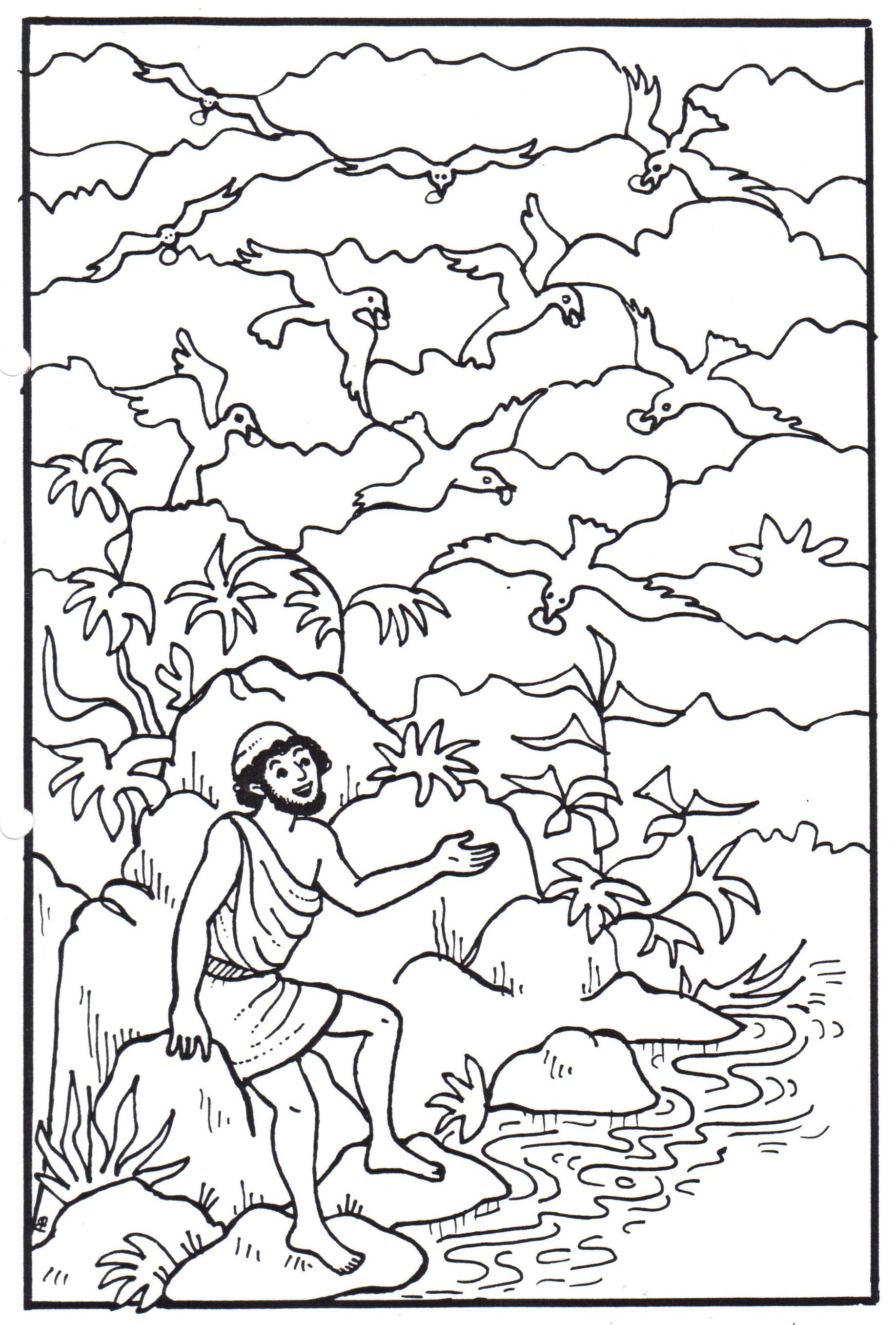 Coloring Page Of Elijah 94