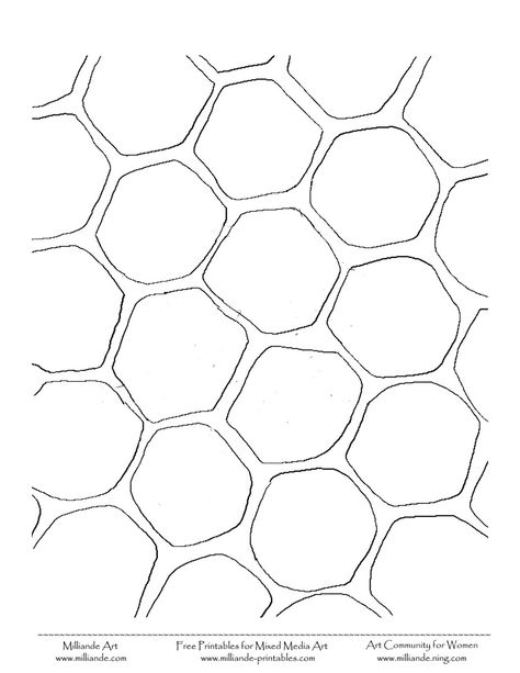 Honeycomb Coloring Page 10