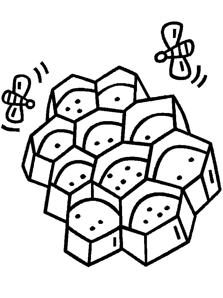 Honeycomb Coloring Page 11