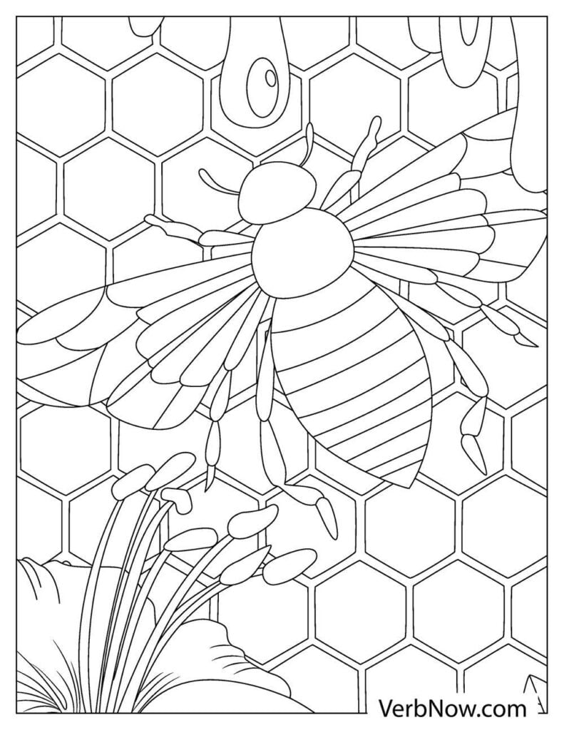 Honeycomb Coloring Page 18