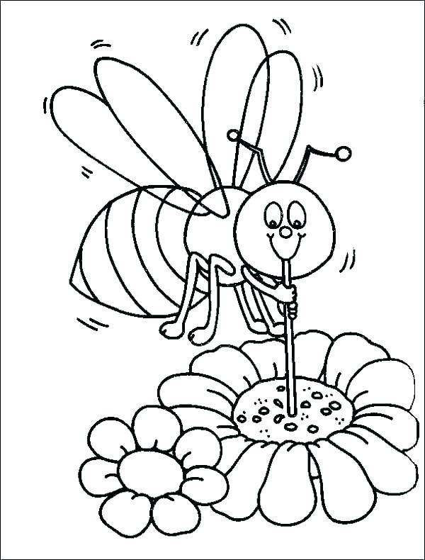 Honeycomb Coloring Page 19