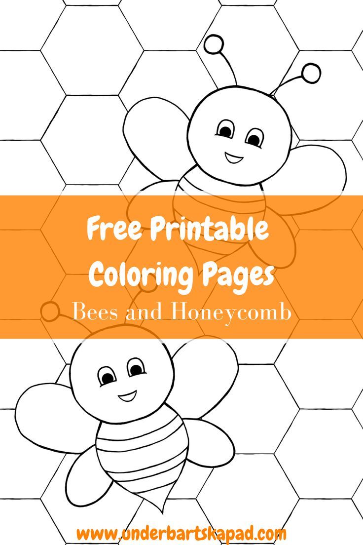 Honeycomb Coloring Page 41