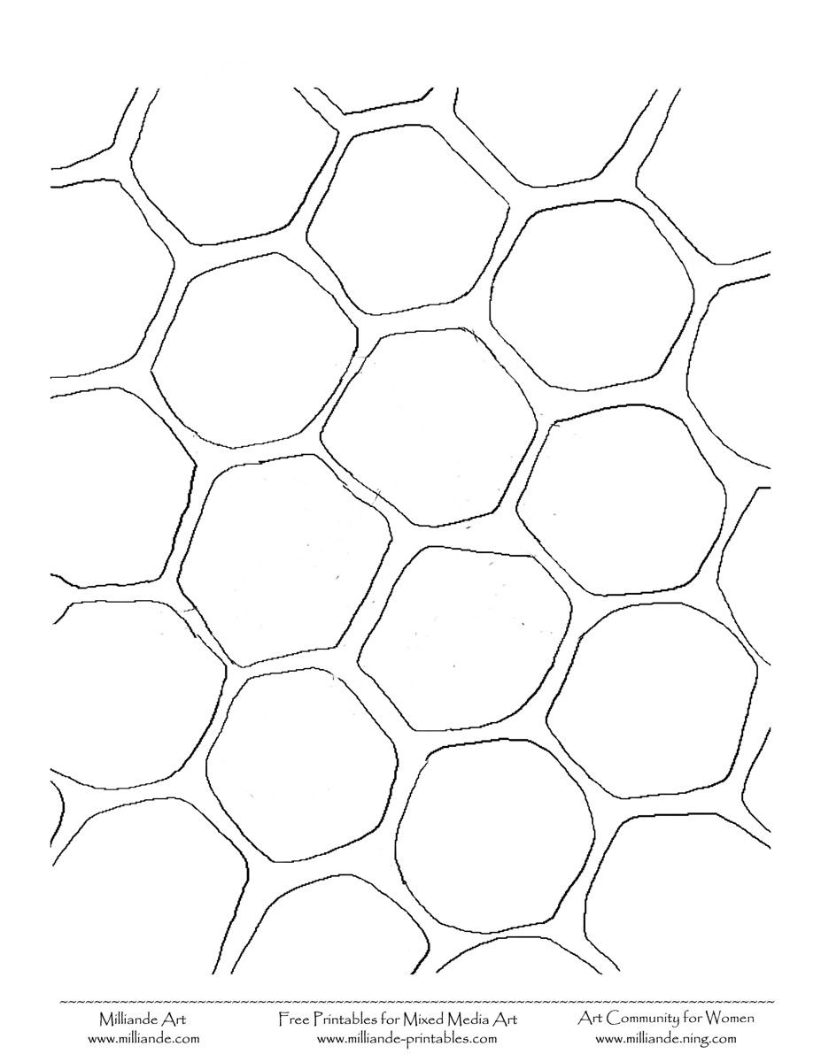 Honeycomb Coloring Page 46