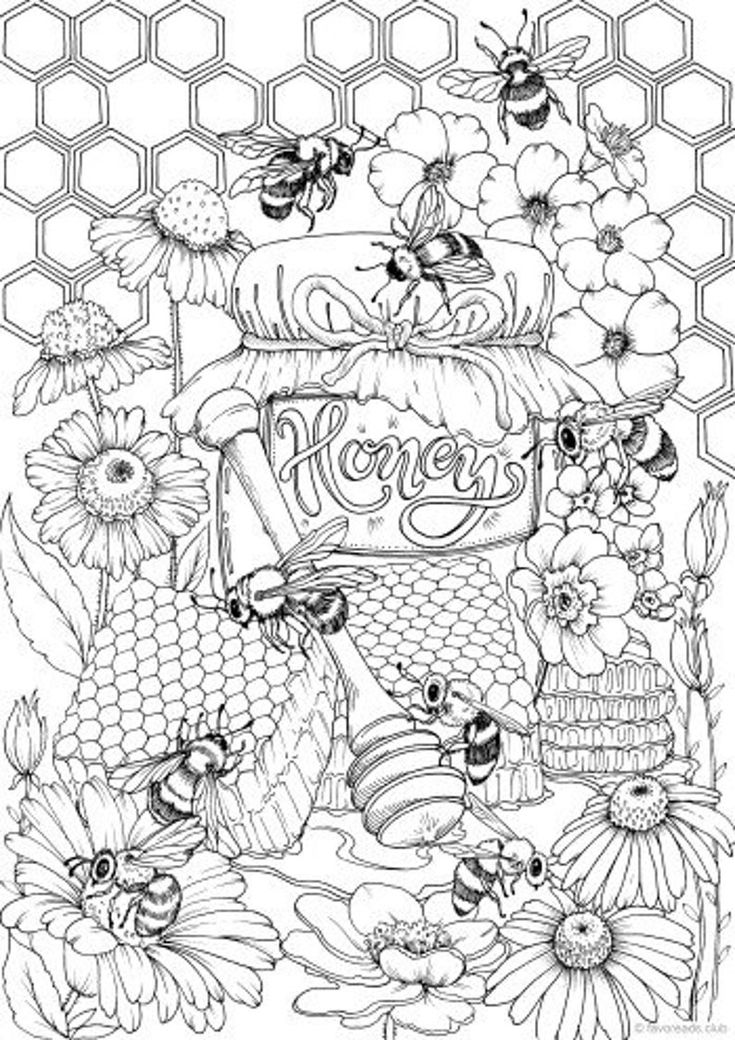 Honeycomb Coloring Page 61