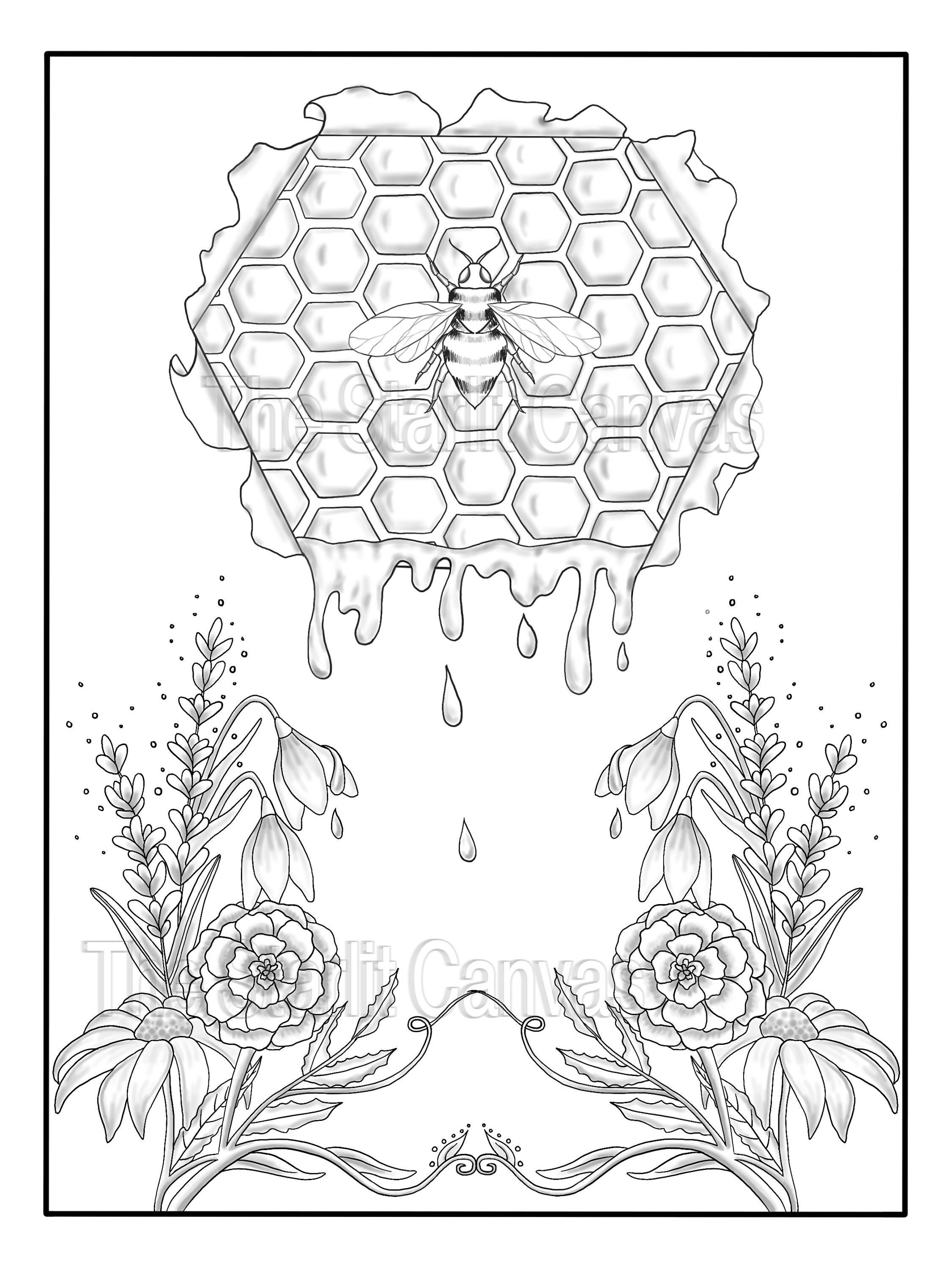 Honeycomb Coloring Page 67