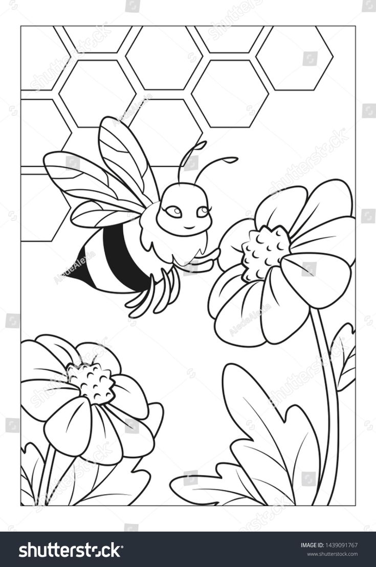 Honeycomb Coloring Page 74