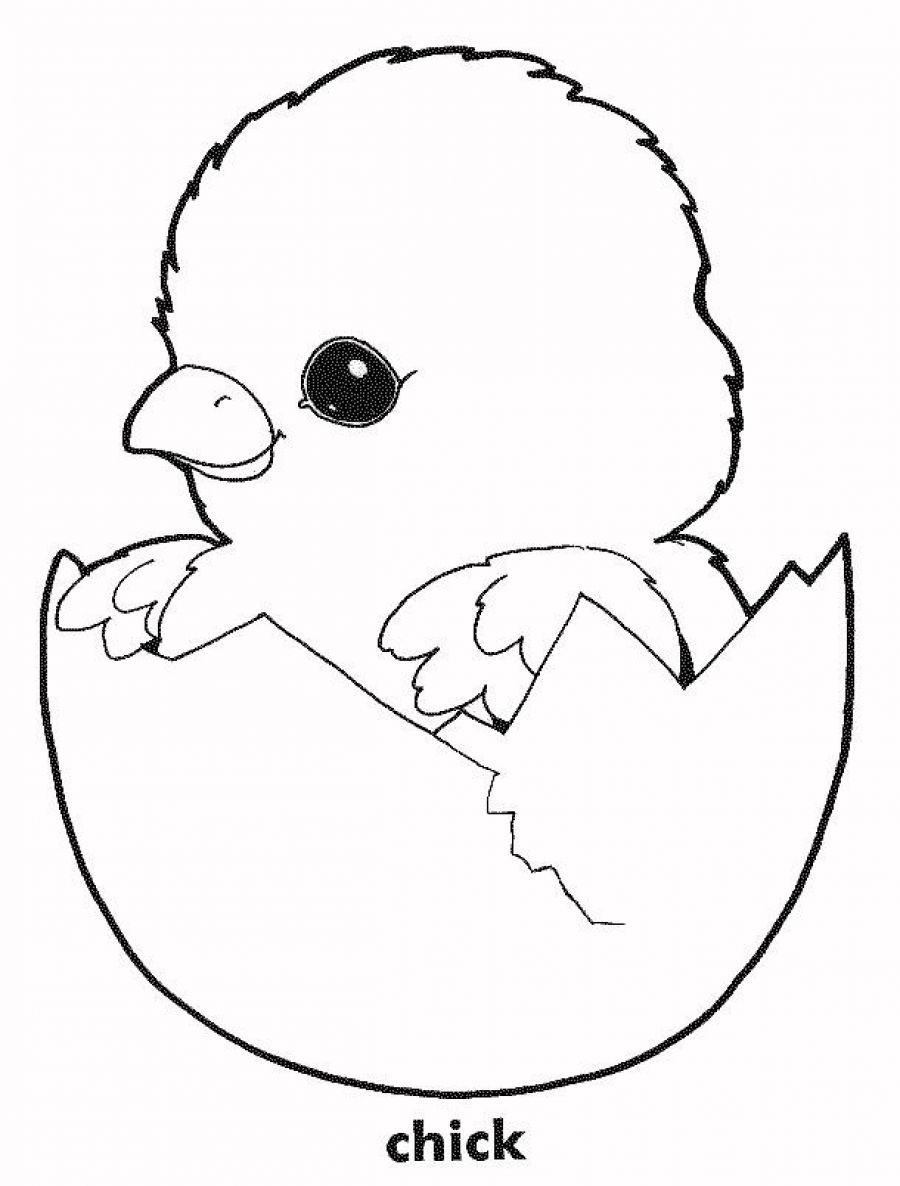 30 Coloring Picture Of Chicken 29