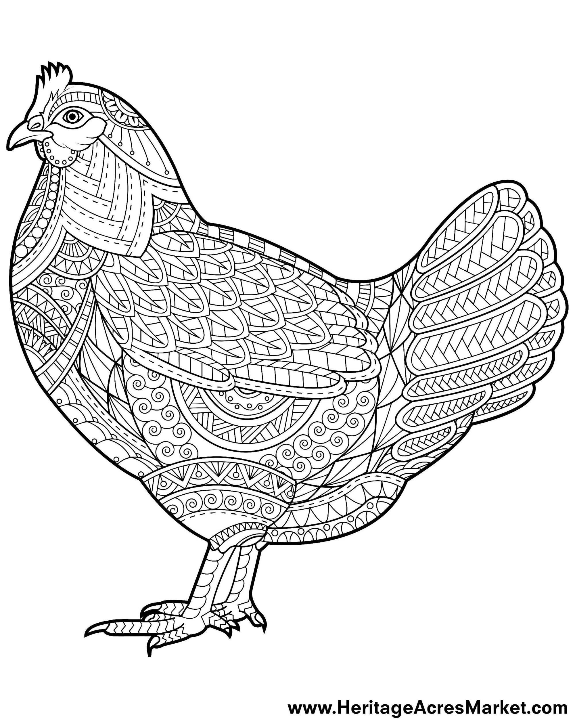 30 Coloring Picture Of Chicken 31