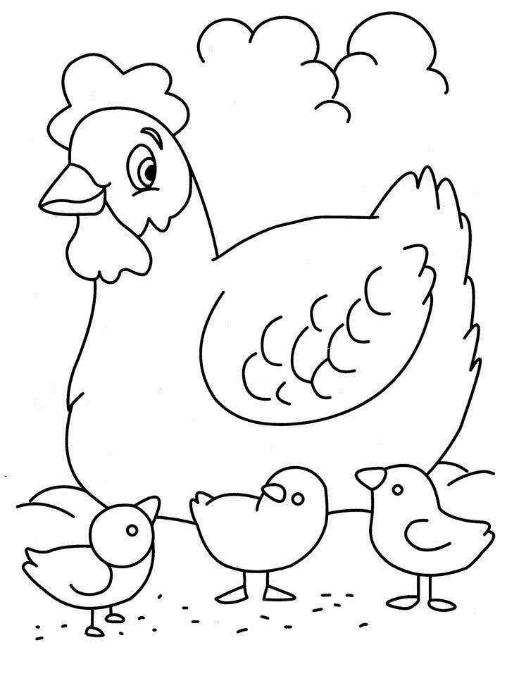 30 Coloring Picture Of Chicken 34