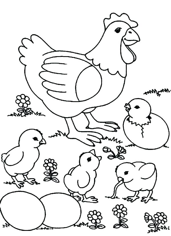 30 Coloring Picture Of Chicken 39