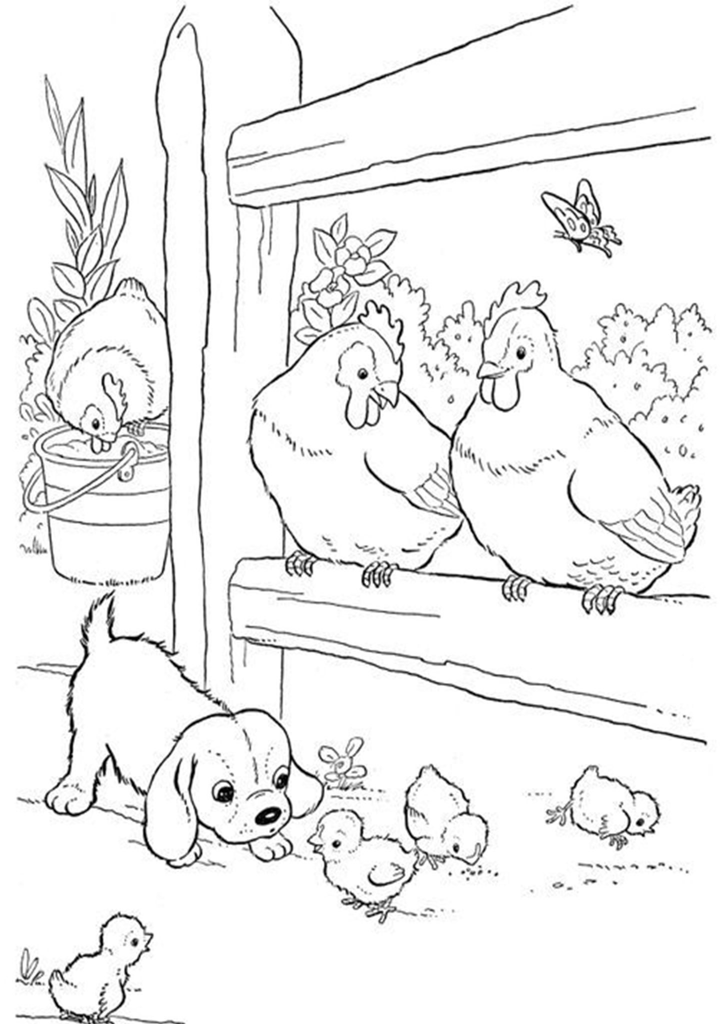 30 Coloring Picture Of Chicken 40