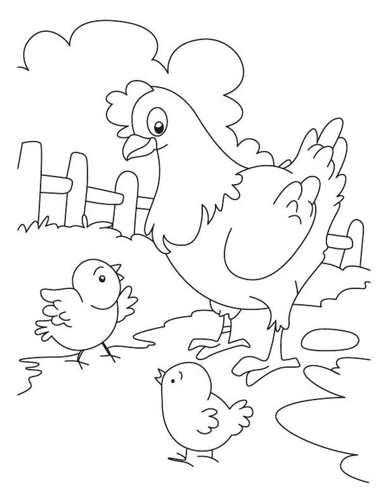 30 Coloring Picture Of Chicken 41