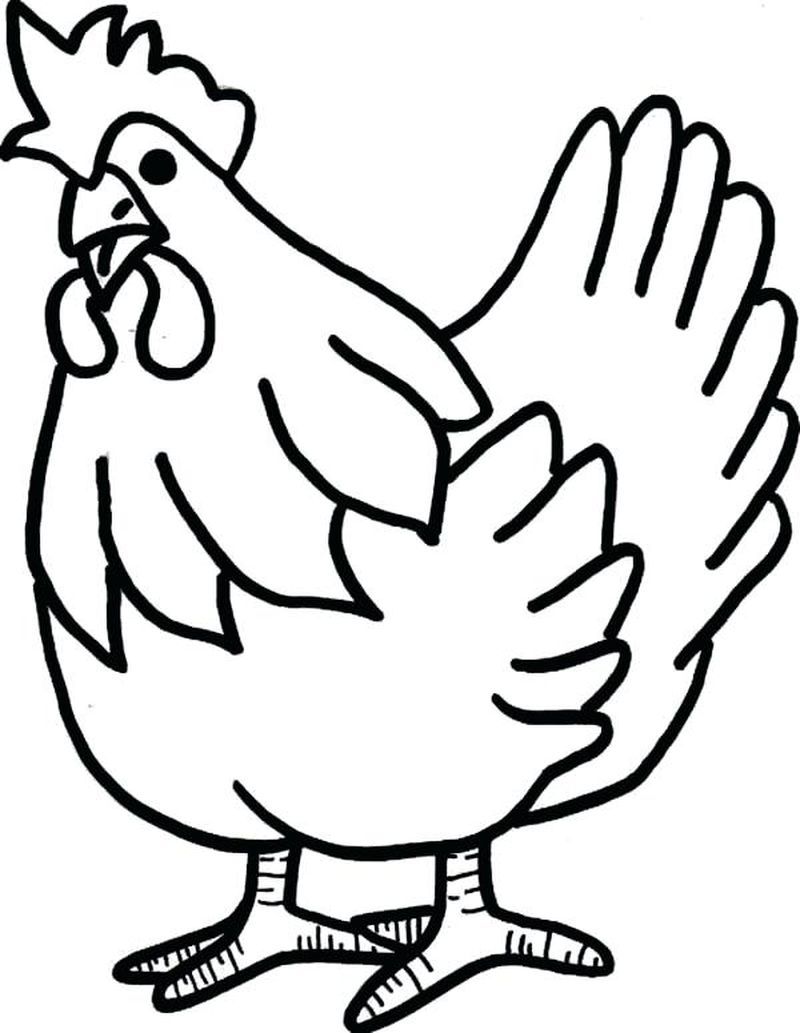 30 Coloring Picture Of Chicken 47