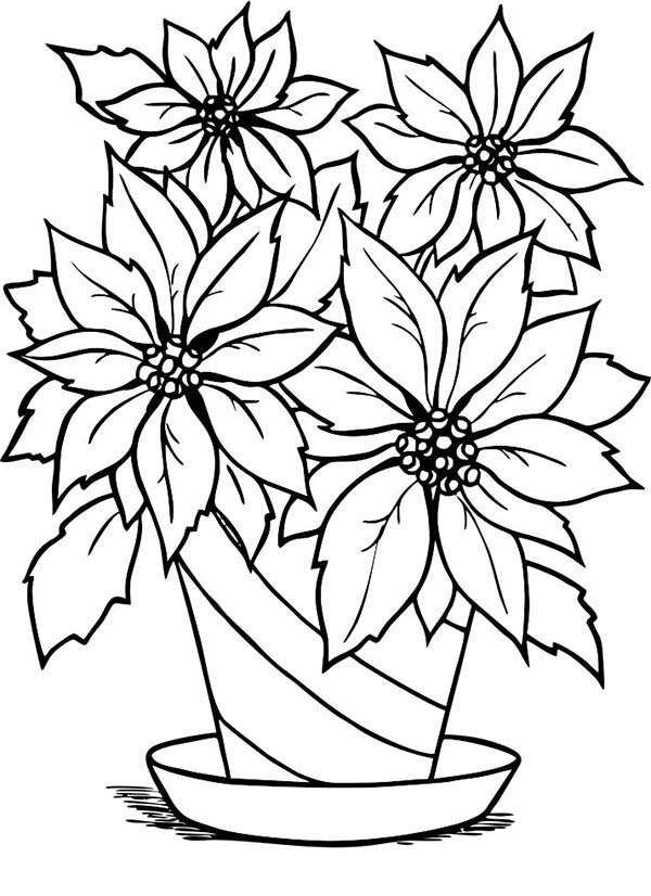 35 Poinsettia Coloring Book 1