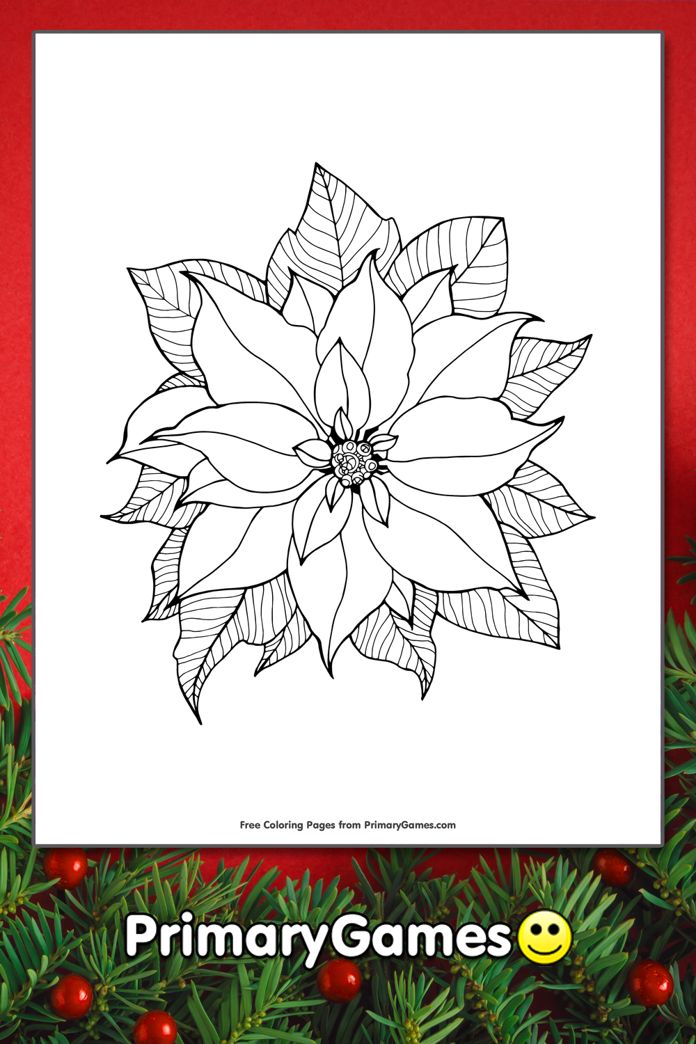 35 Poinsettia Coloring Book 3