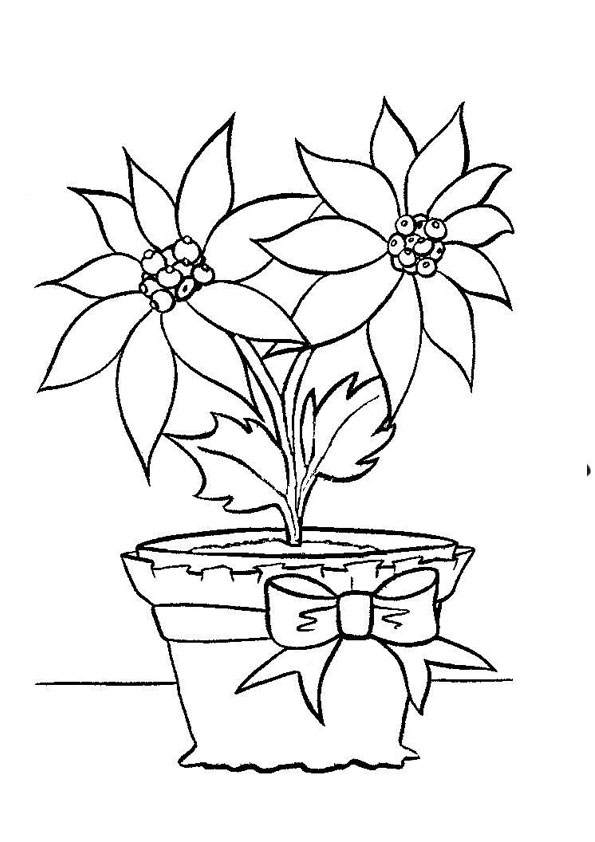 35 Poinsettia Coloring Book 5