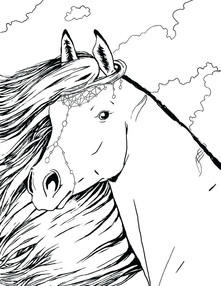 45 Horse Coloring Pages Realistic 1