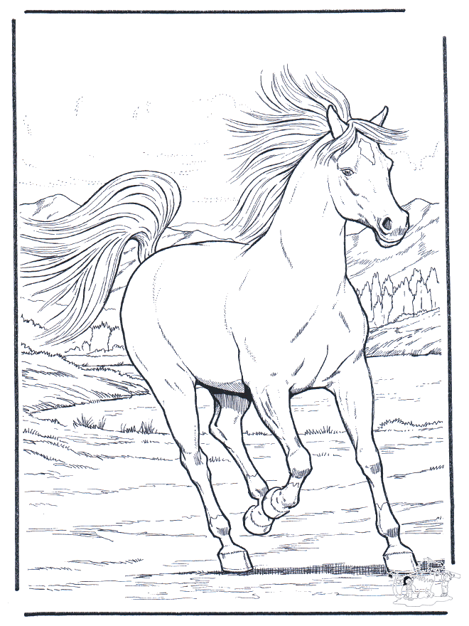 45 Horse Coloring Pages Realistic 10