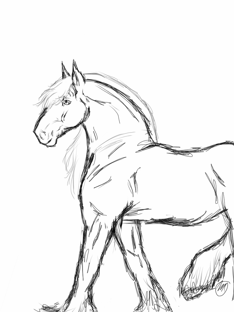 45 Horse Coloring Pages Realistic 11