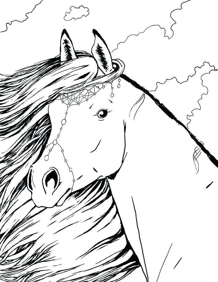 45 Horse Coloring Pages Realistic 12