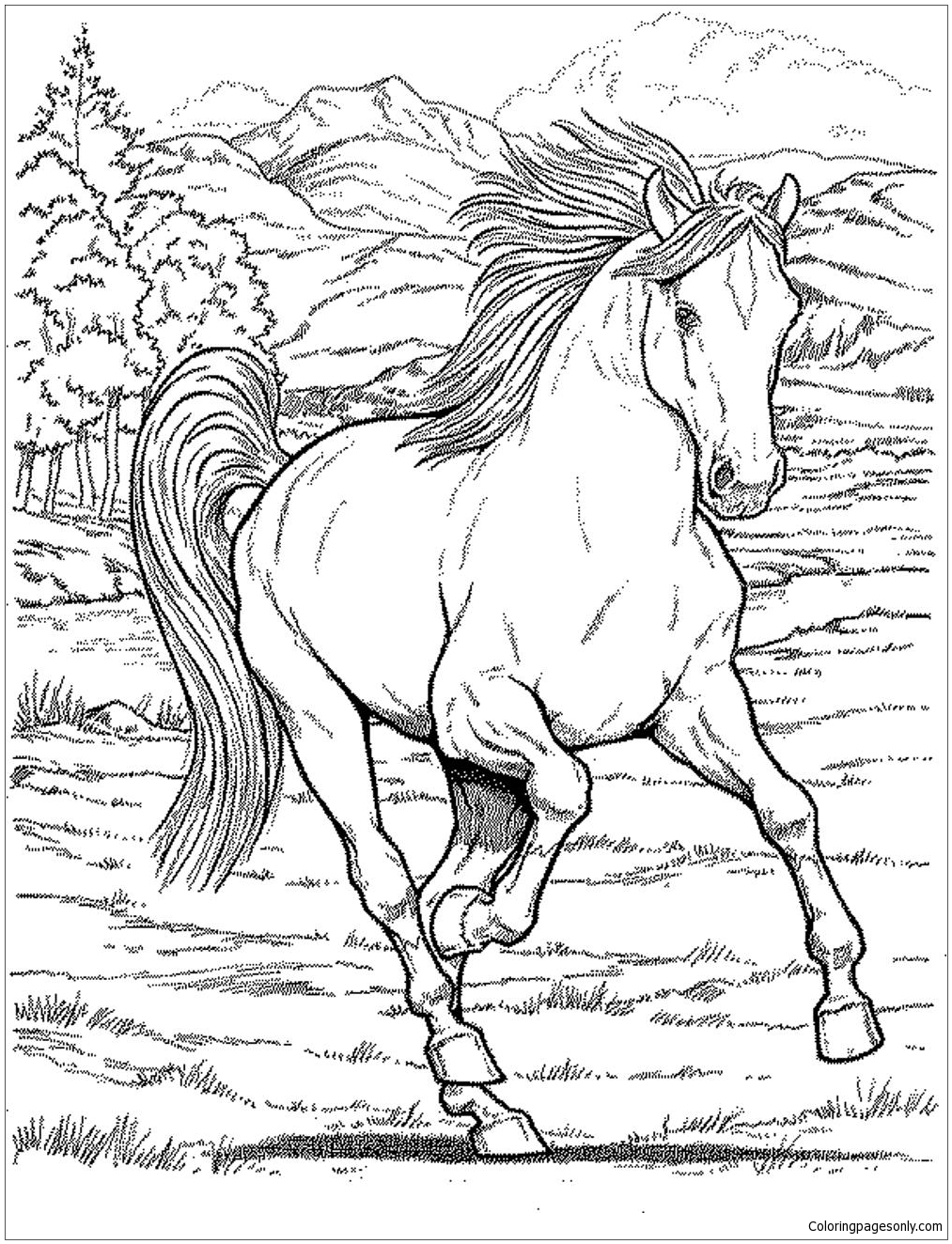 45 Horse Coloring Pages Realistic 13