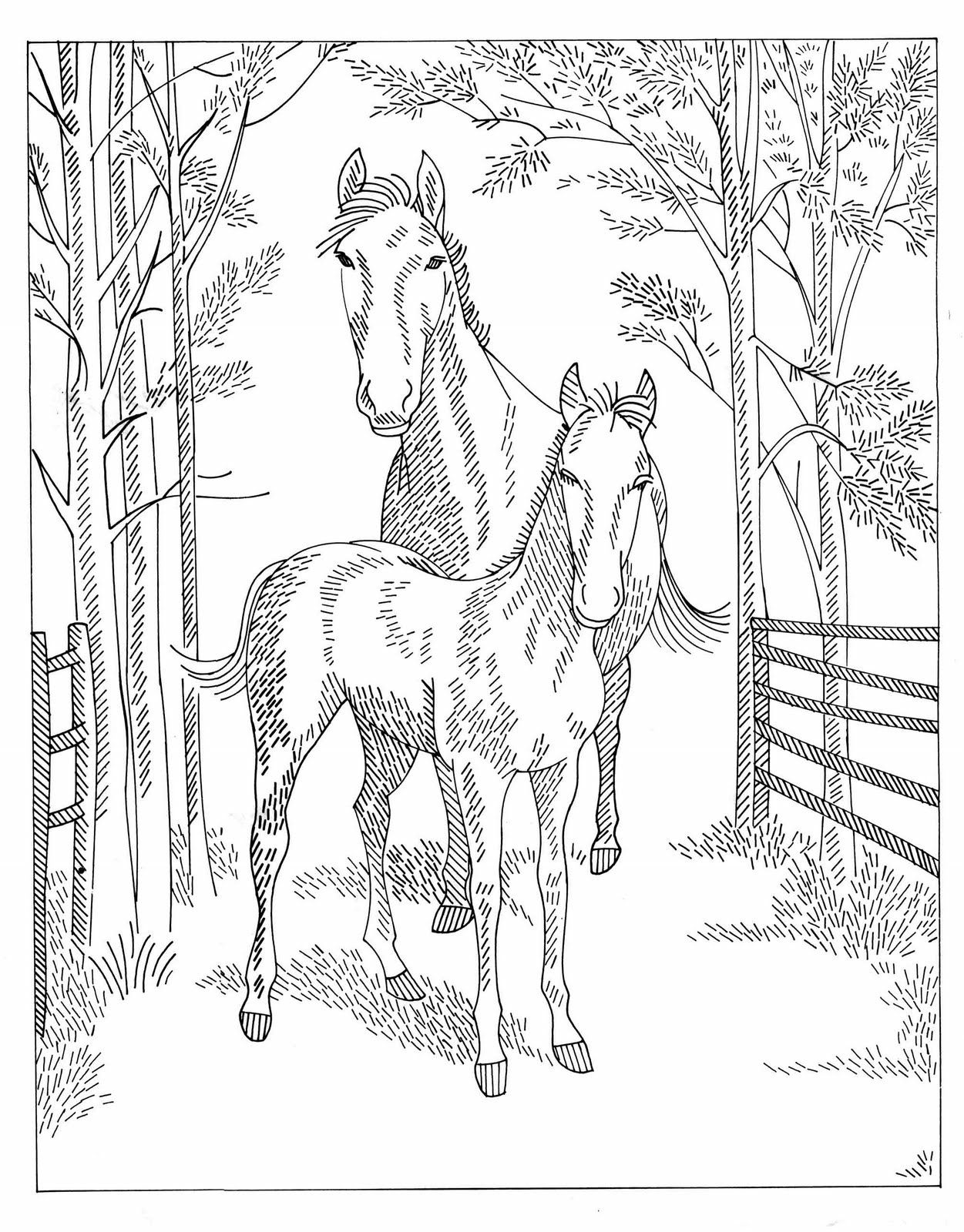 45 Horse Coloring Pages Realistic 14