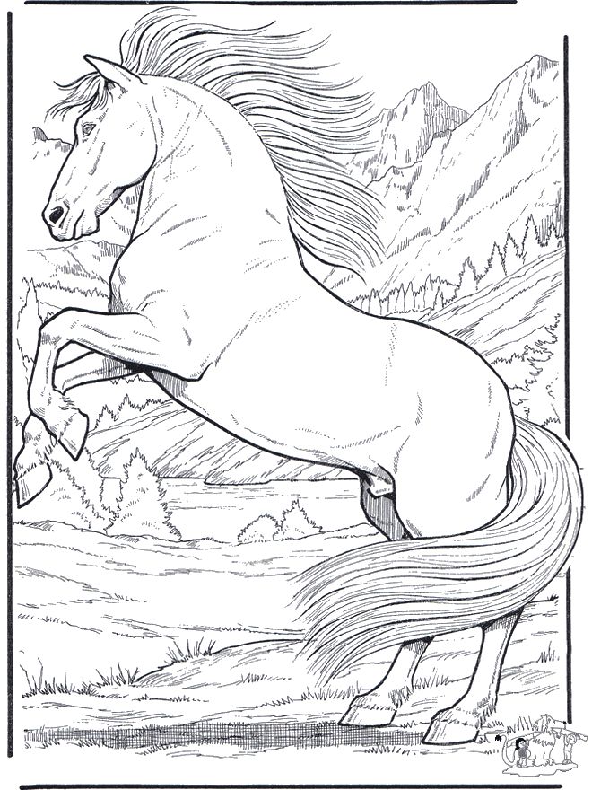 45 Horse Coloring Pages Realistic 15