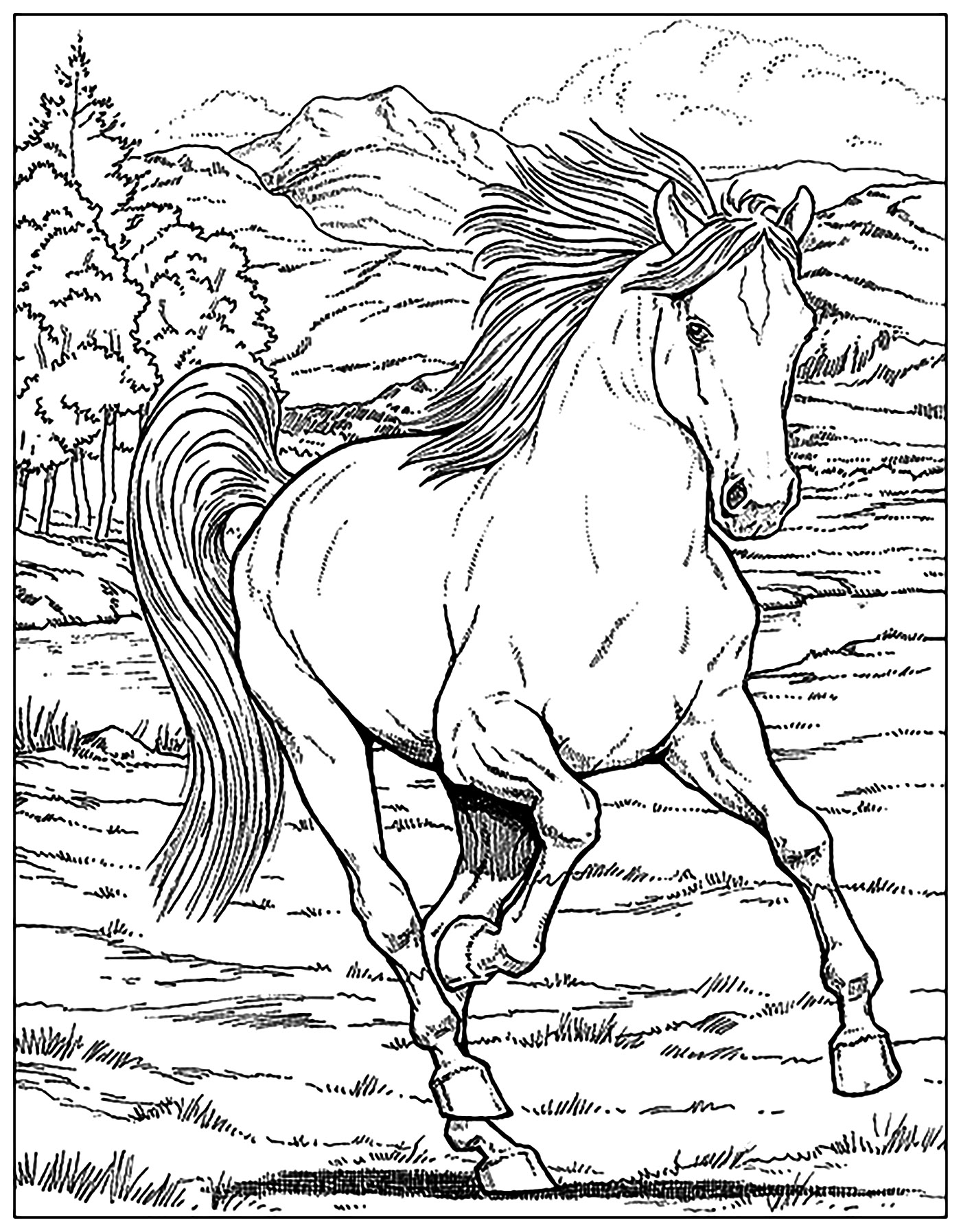 45 Horse Coloring Pages Realistic 16