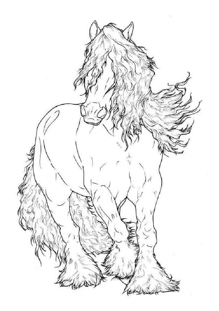 45 Horse Coloring Pages Realistic 19