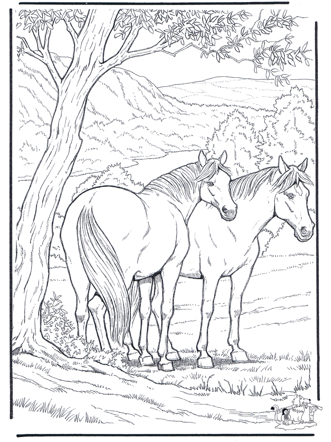 45 Horse Coloring Pages Realistic 2