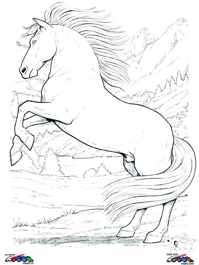 45 Horse Coloring Pages Realistic 31