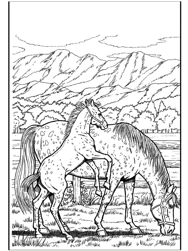 45 Horse Coloring Pages Realistic 32