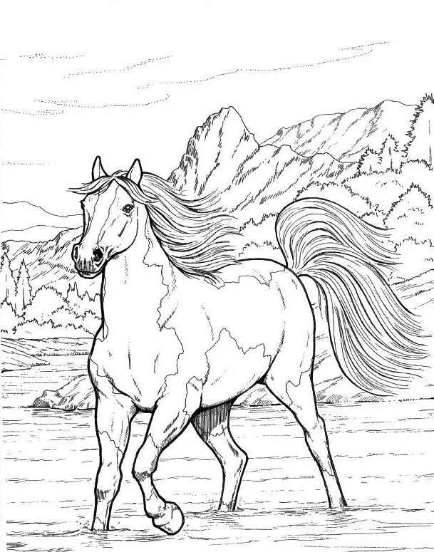 45 Horse Coloring Pages Realistic 34