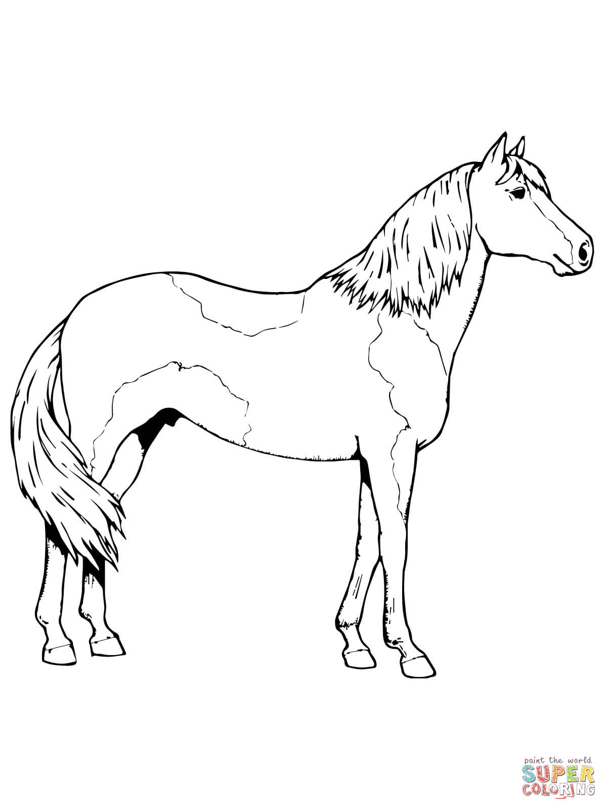 45 Horse Coloring Pages Realistic 7