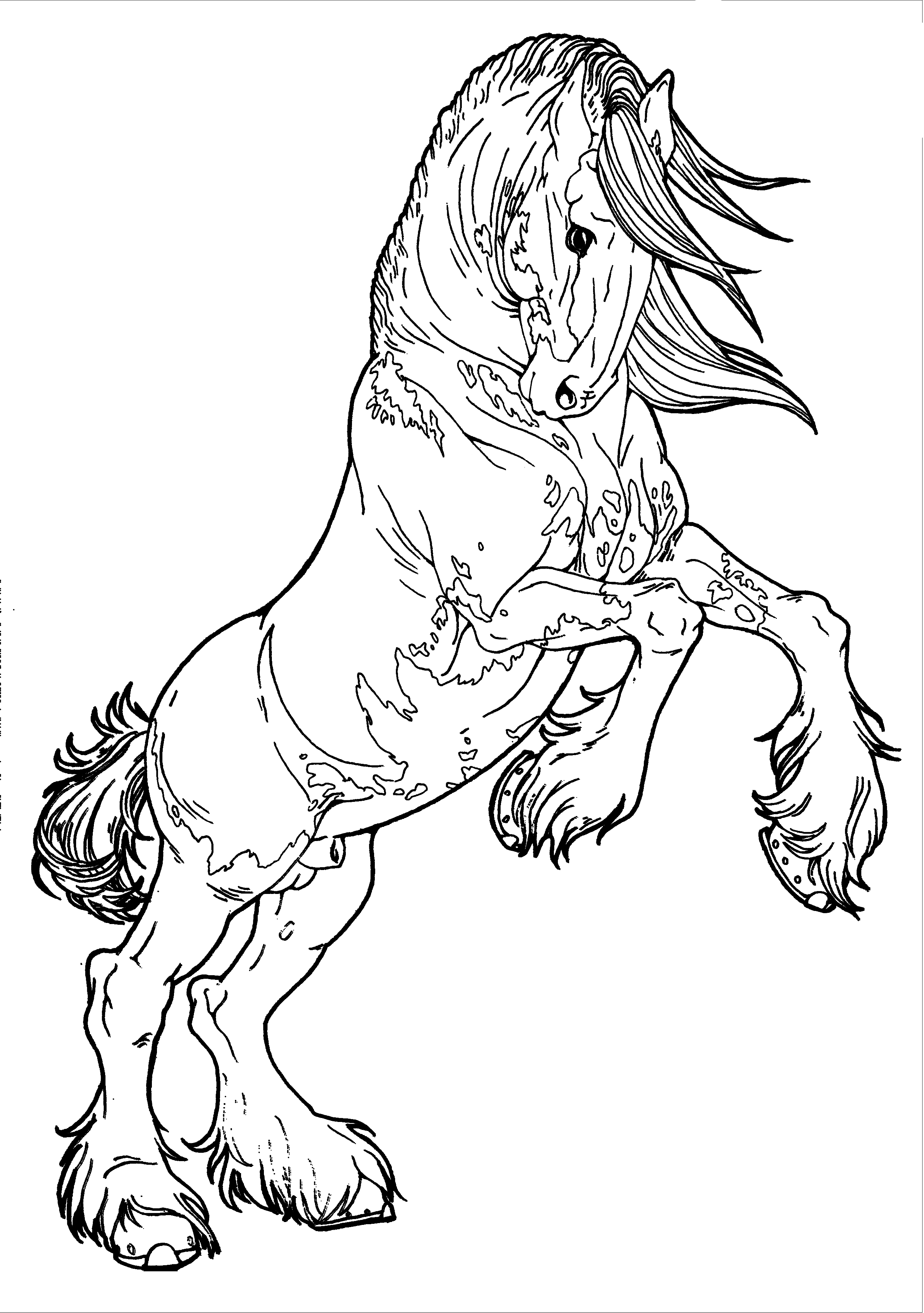 45 Horse Coloring Pages Realistic 9