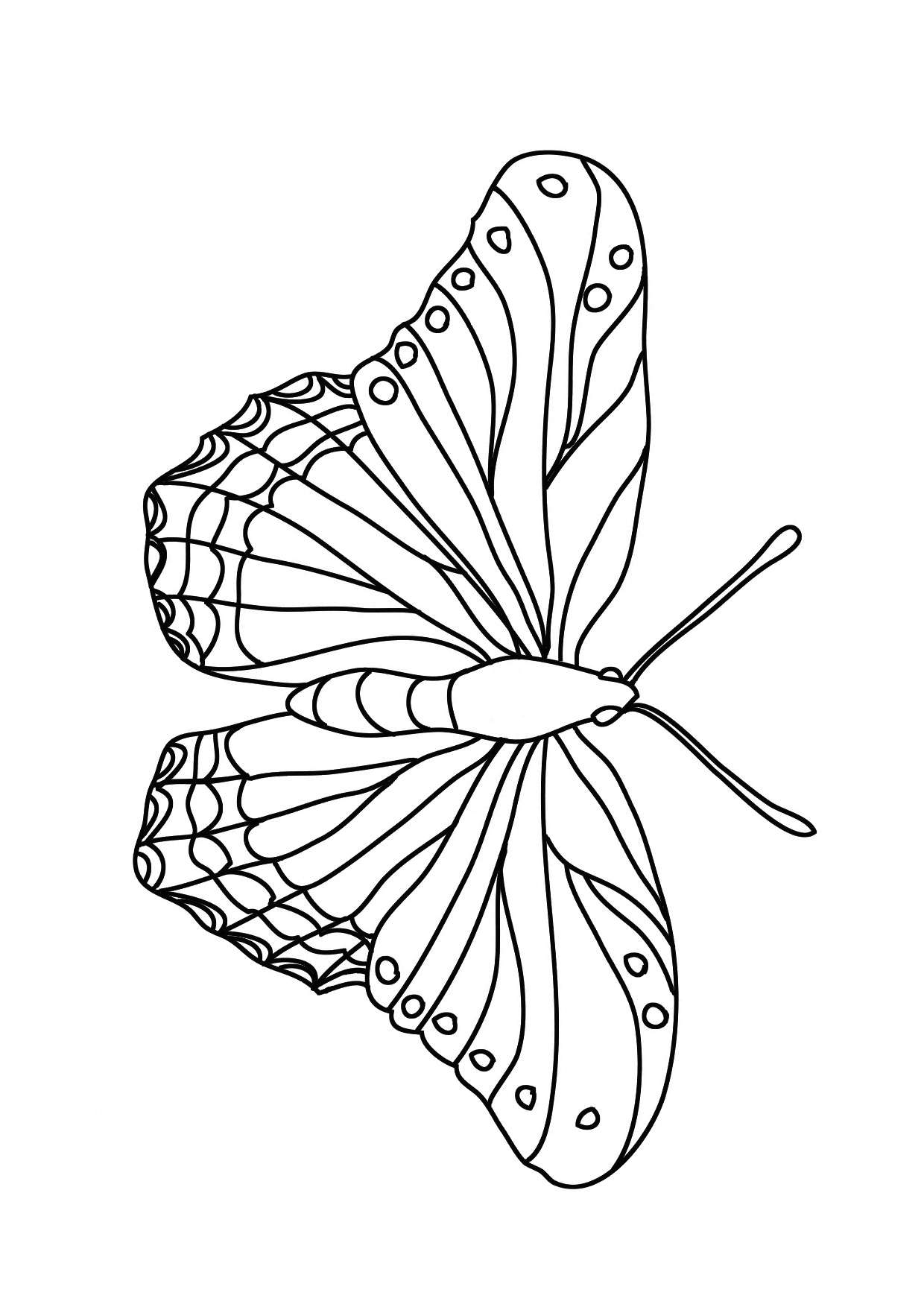 55 Butterflies Coloring Pages Printable 10