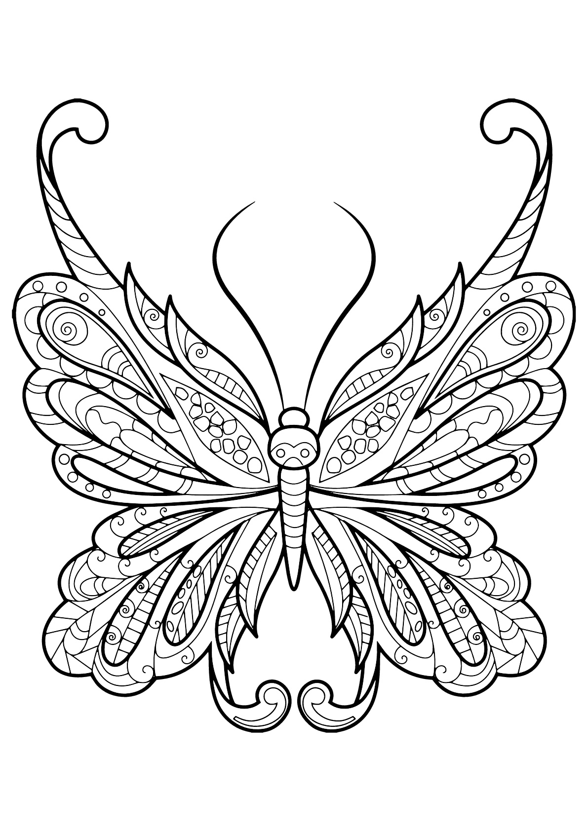 55 Butterflies Coloring Pages Printable 13