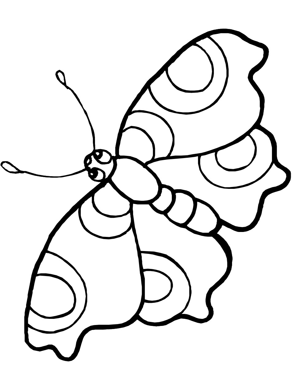 55 Butterflies Coloring Pages Printable 14