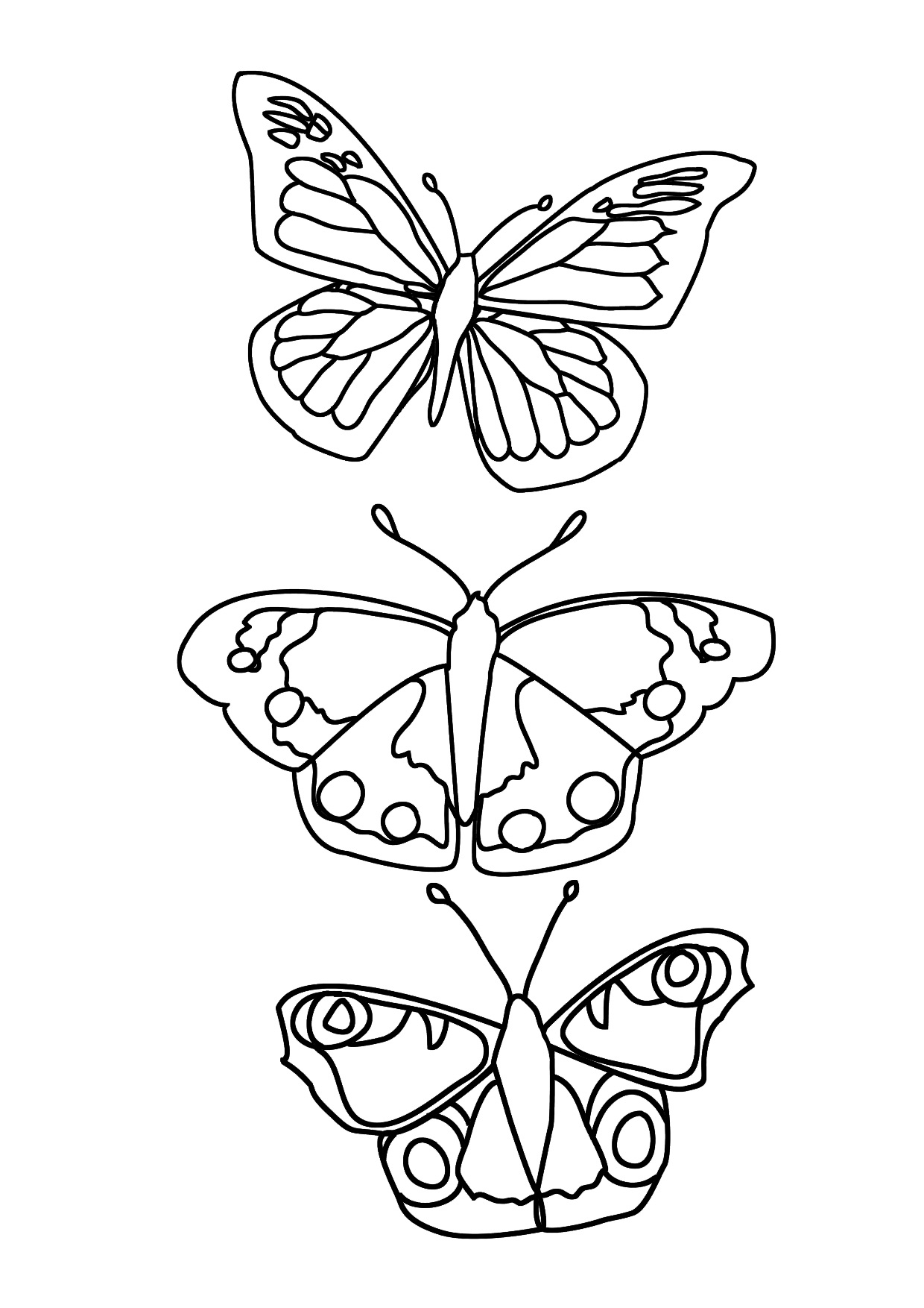 55 Butterflies Coloring Pages Printable 15