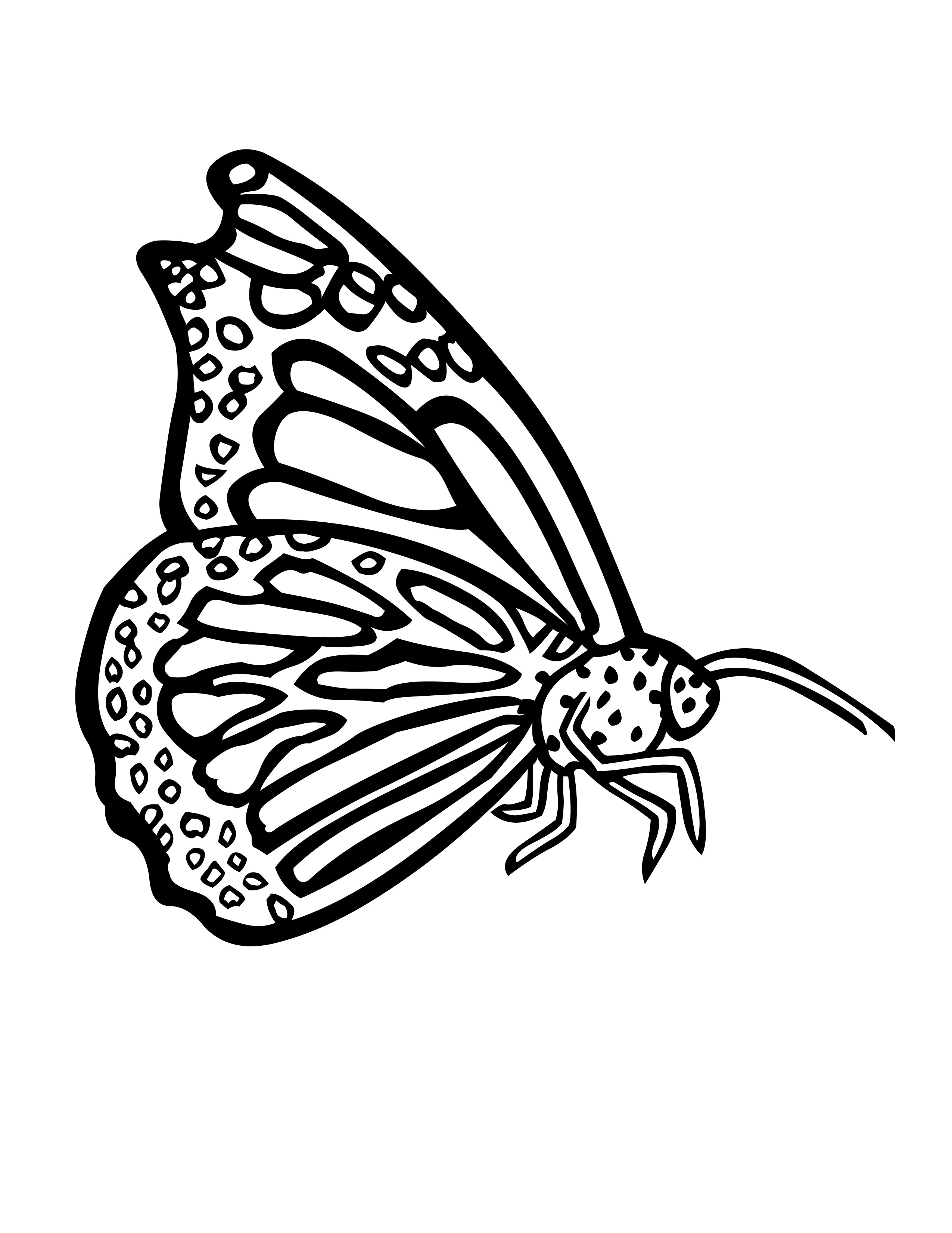 55 Butterflies Coloring Pages Printable 16