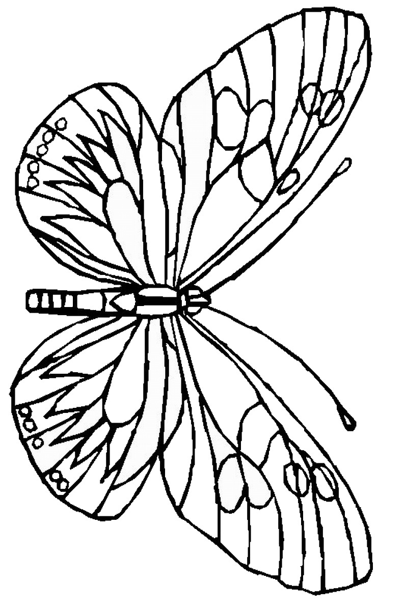 55 Butterflies Coloring Pages Printable 17