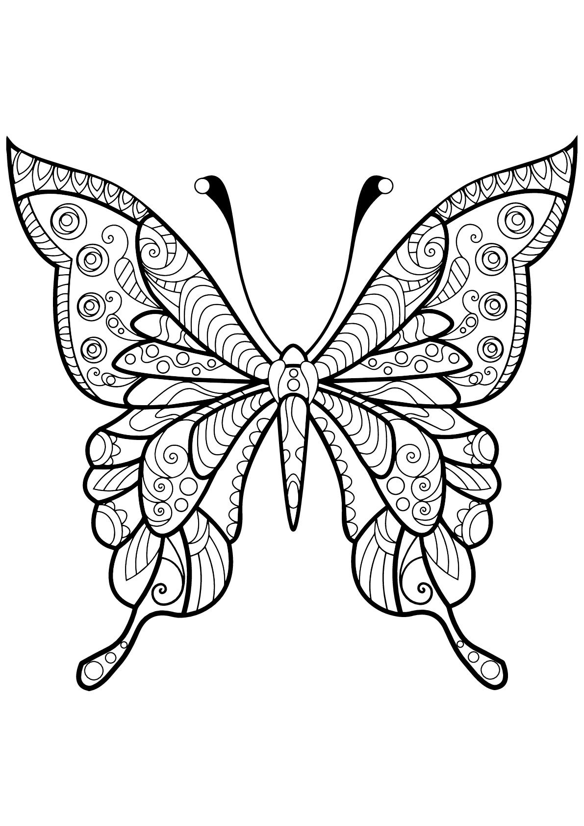 55 Butterflies Coloring Pages Printable 18